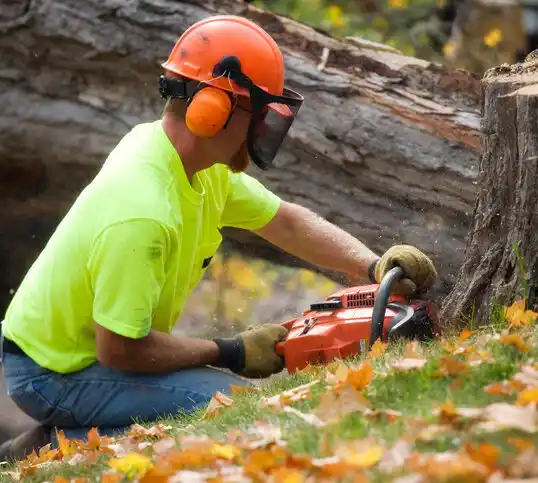 tree services Larose